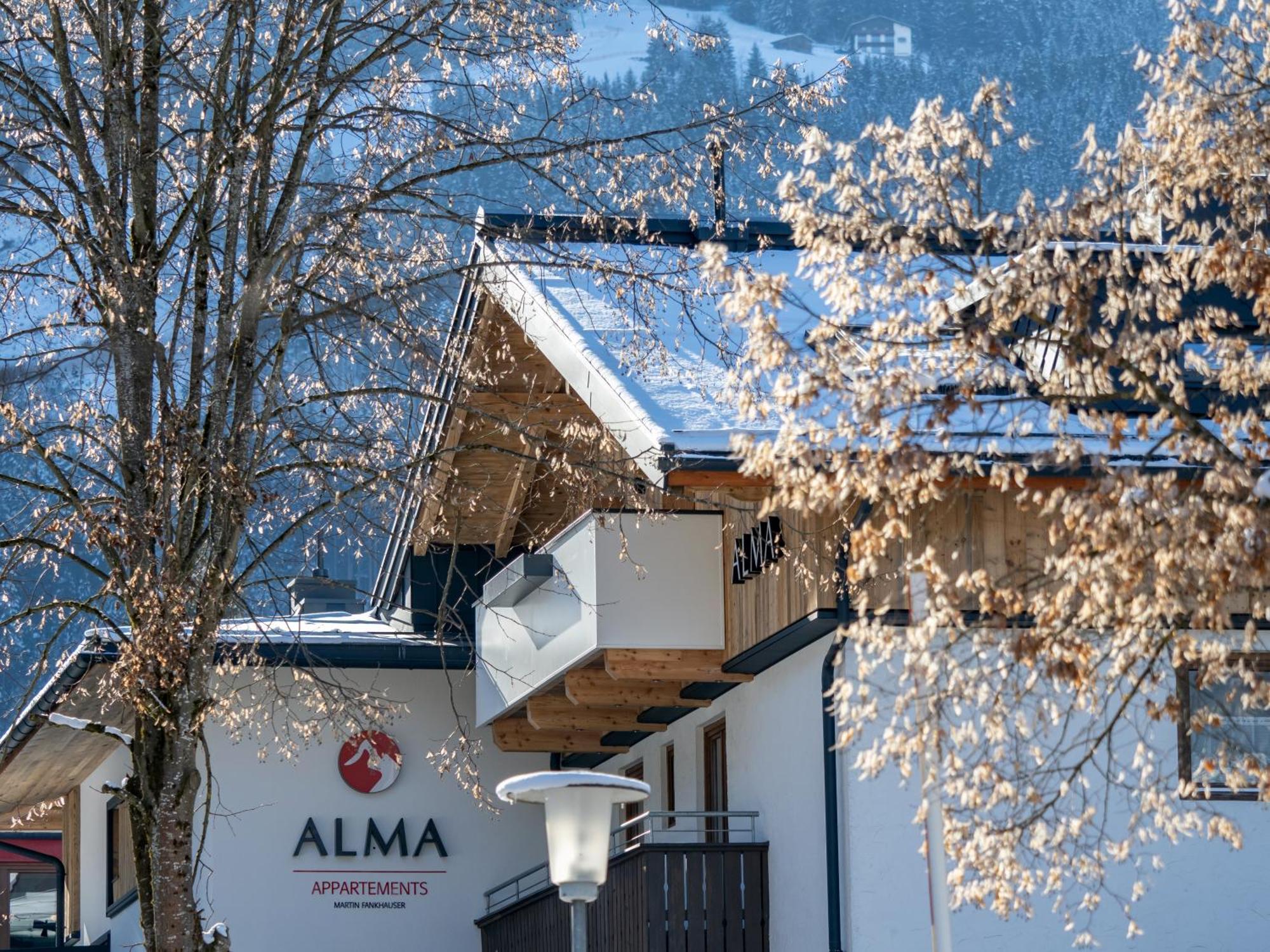 Alma Apartment Mayrhofen